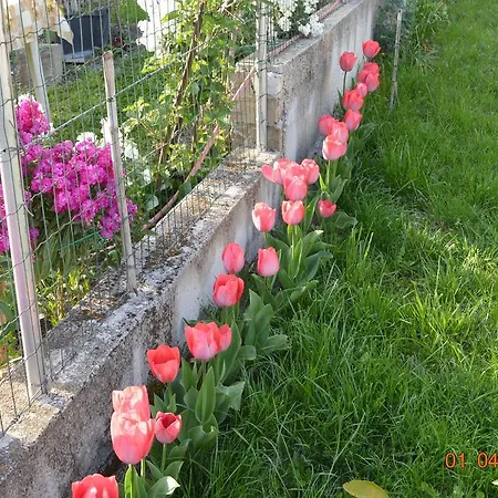 Holiday home House Of Veli Joze Motovun