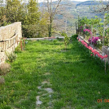 House Of Veli Joze * Motovun
