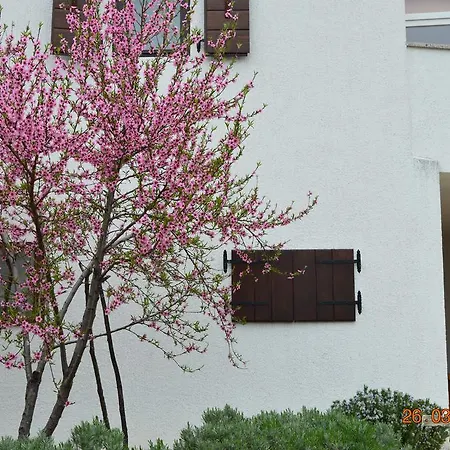 Holiday home House Of Veli Joze Motovun